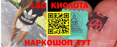 ешки Можга