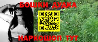 сатива Нальчик