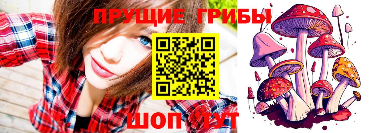 Галлюциногенные грибы Psilocybine cubensis Черняховск