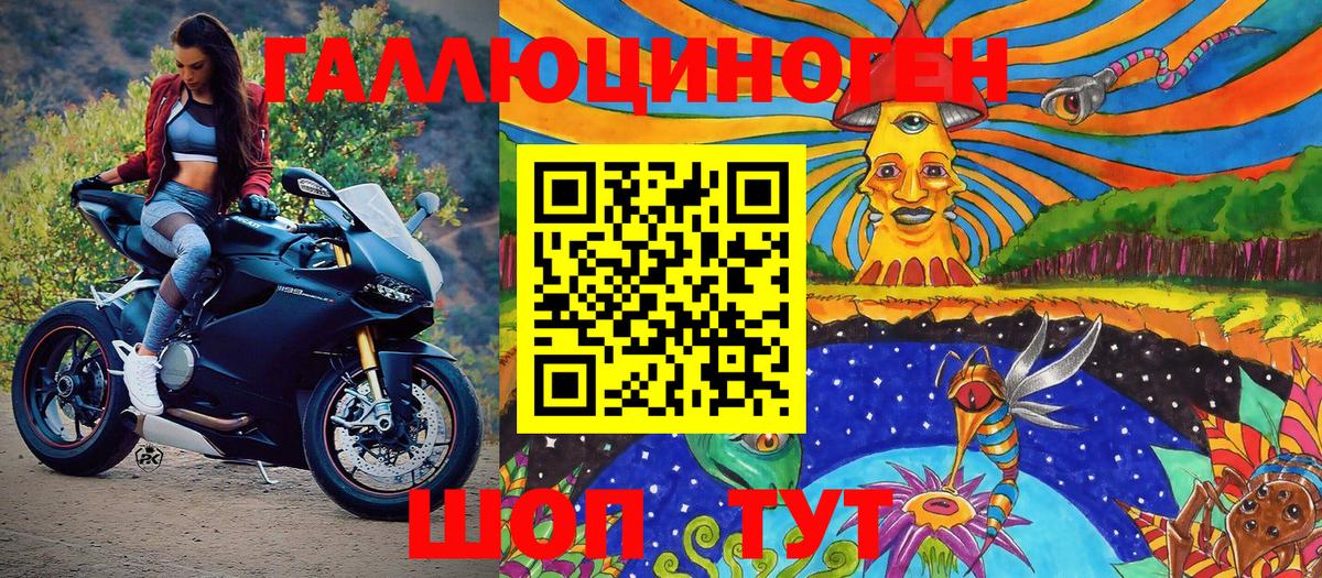 Черняховск  Галлюциногенные грибы прущие грибы  Псилоцибиновые грибы Psilocybine cubensis  Вход с VPN 